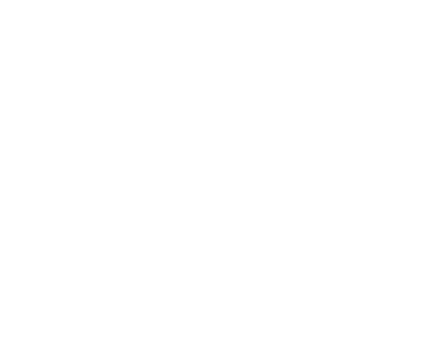 Renovación Vital